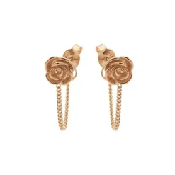 Chain Rose - Rose