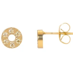 iXXXi oorknopjes Circle Stone Gold Color - E038-01