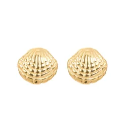 iXXXi oorknopjes Shell Gold Color - E034-01