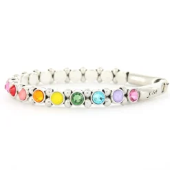 Josh Crystal Armband Rainbow - 22119