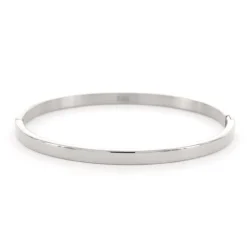 Kalli Bangle Basic Shiny - 2055S