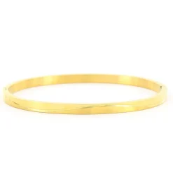 Kalli Bangle Gloss & Matt - 2195