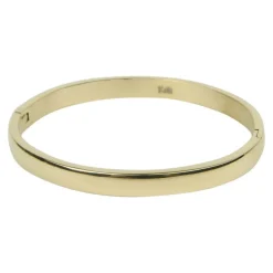 Kalli Bangle Rounded Shiny - 2119G