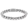 Rebel and Rose Silver Shine - 8DV01